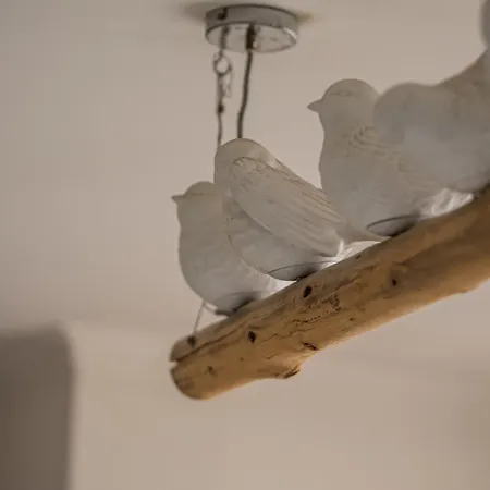 Cantinho Do Cavado Fão
